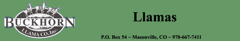 Buckhorn Llama Company, Inc.